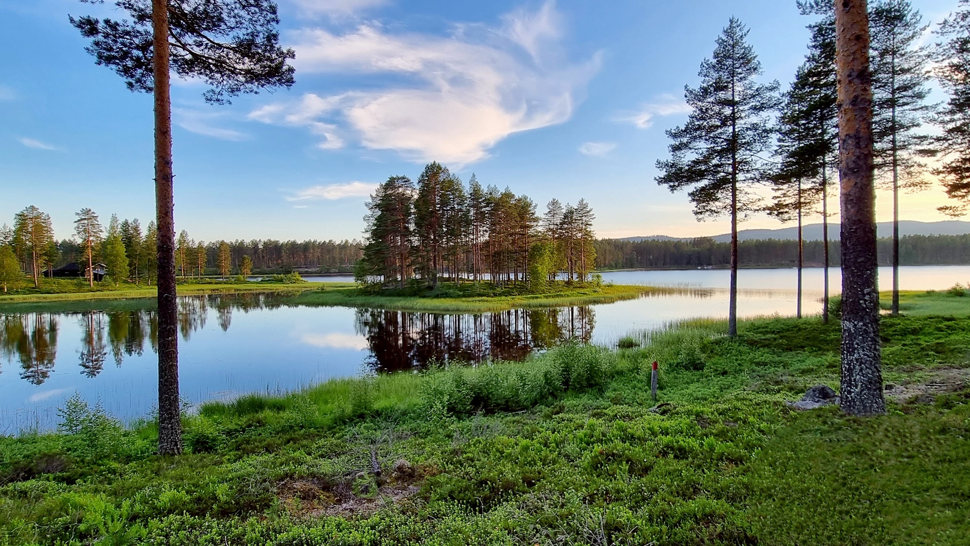 Trees growing on a small island reflecting in the water surface of the lake in Finnskogen.