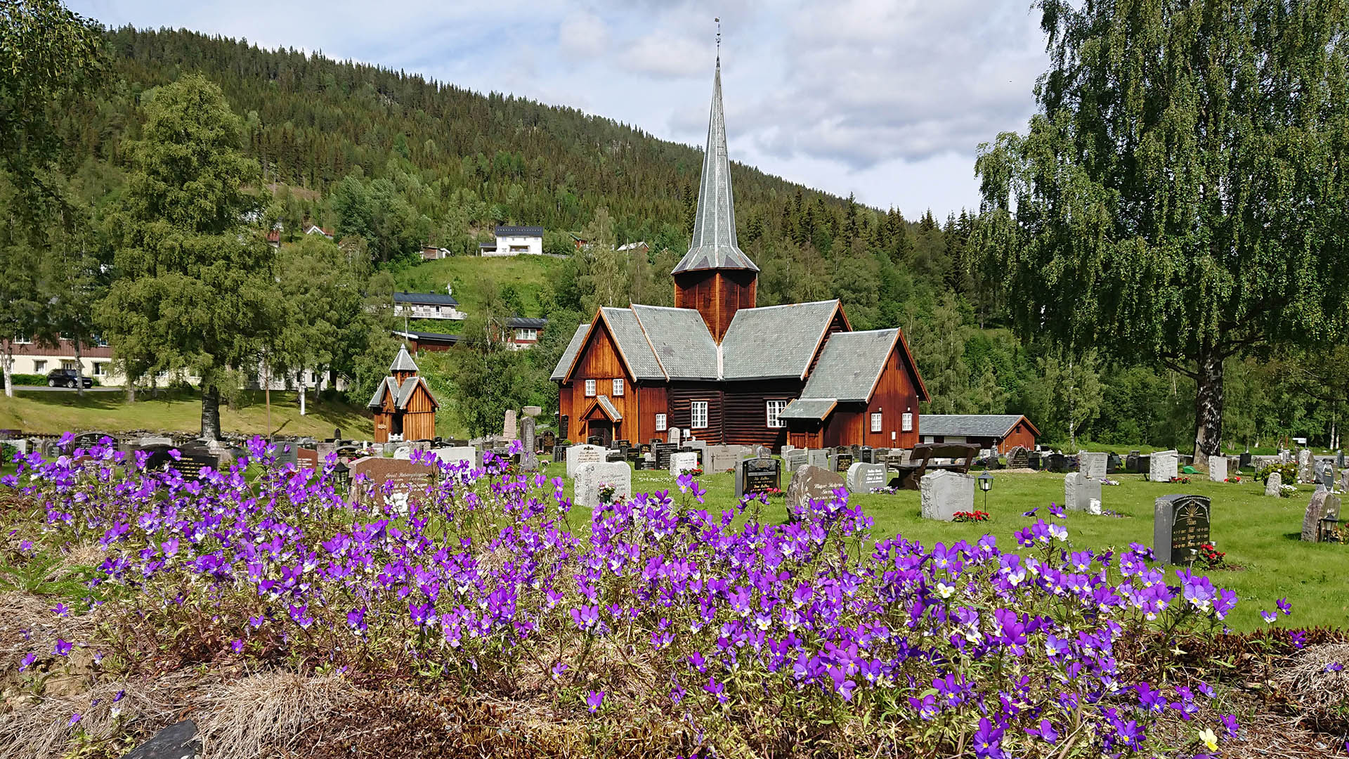 Purple flowers in front of Bruflat wooden church in springtime.
