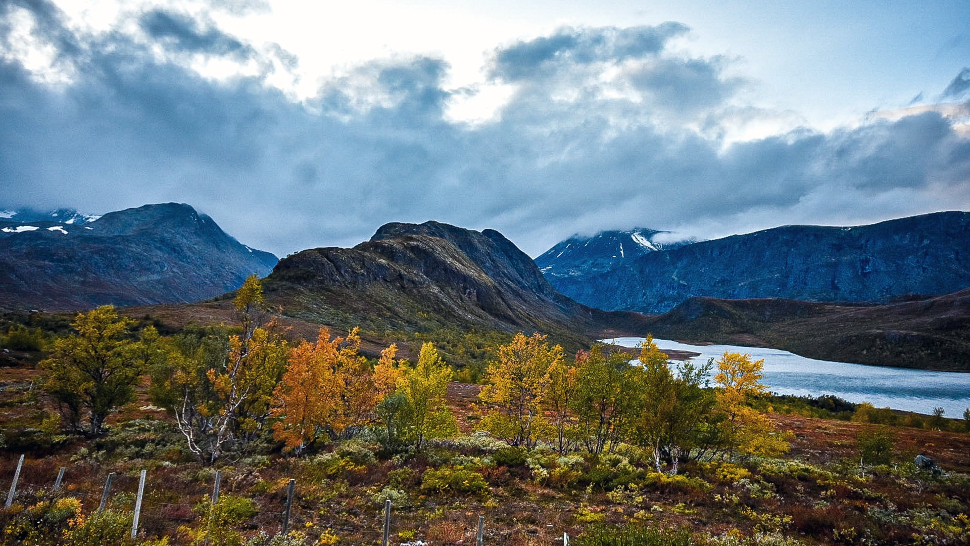 Trees with autumn leaves in front of the mountain tops of Bygdin on a cloudy day.
