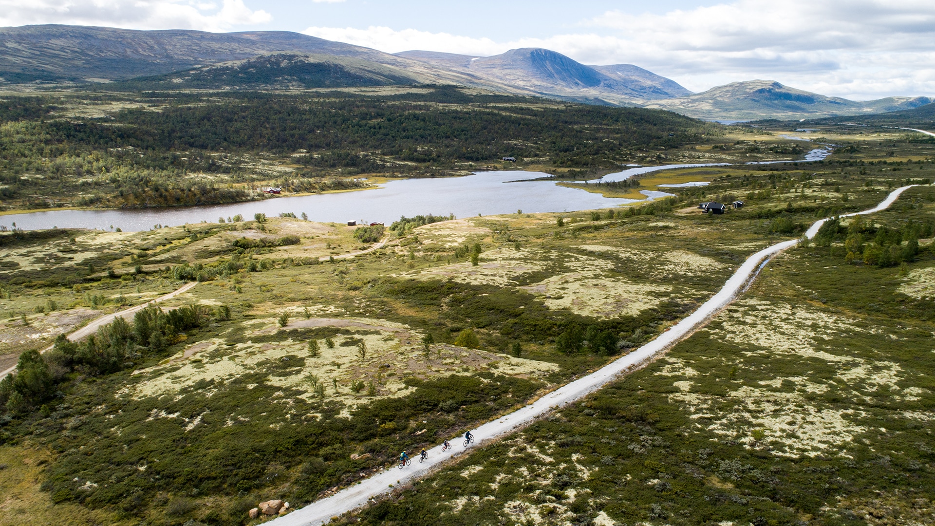 Four people riding bikes on a winding path in the mountain landscape of Dovrefjell.