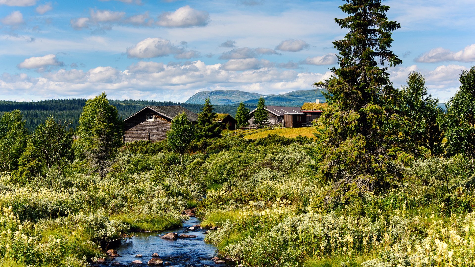 A stream flows in front of traditional Norwegian wooden houses on a sunny summer day with mountains in the distance.
