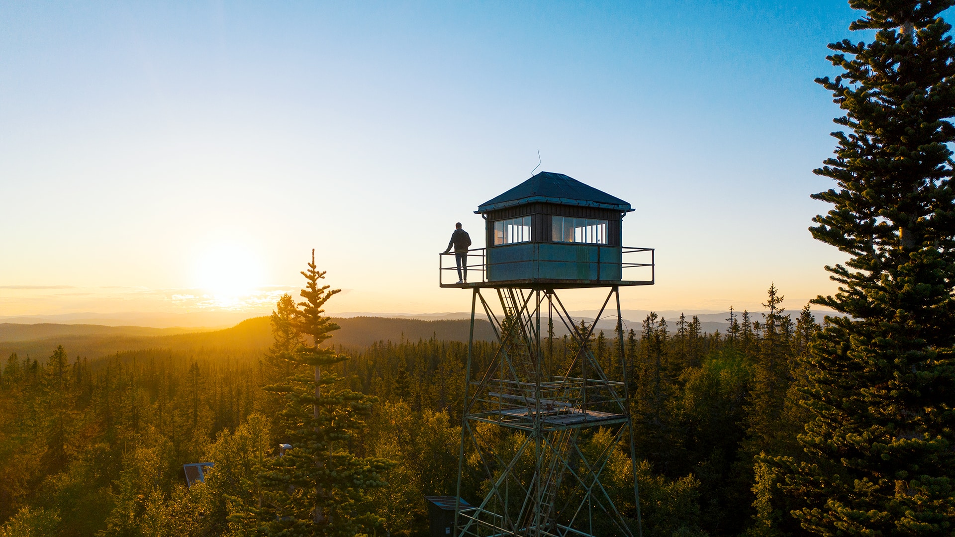 A person enjoying the view from a watchtower in a forrest at sunset with mountains in the distance.
