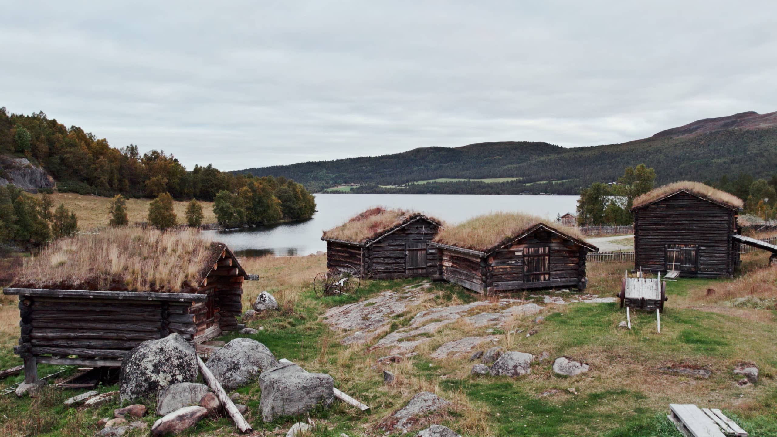 Traditional Norwegian laft wood buildings with grasscovered rooftops in front of a lake.