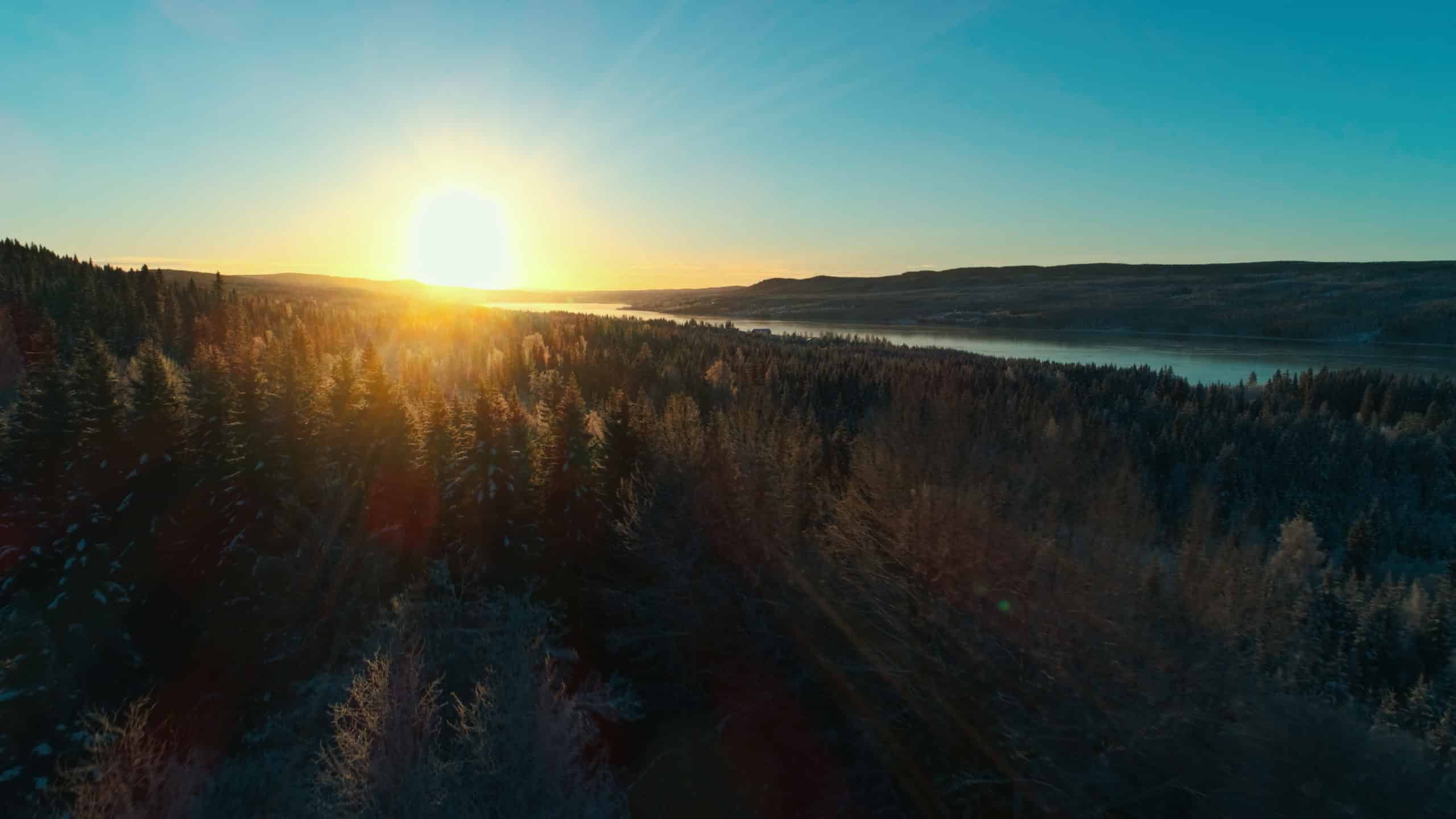 Sun is hanging low over the trees surrounding lake Osensjøen at sunset.